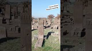 bitlis ahlat selçukludevleti mezarlık travel gezilecekyerler doğuanadolu doğa [upl. by Schapira]