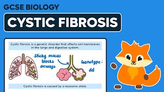 Inherited Disorders Cystic Fibrosis  GCSE Biology [upl. by Mauretta]