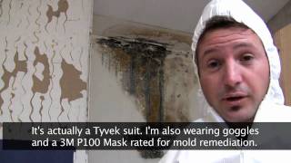 Killing Toxic Black Mold  How to Remove Mold Safely [upl. by Mmada]