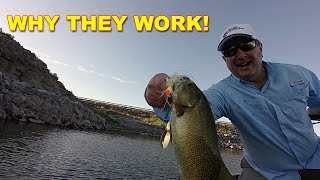 Why Bass Strike Spinnerbaits  Bass Fishing [upl. by Ives]