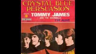 Tommy James amp the Shondells  Crystal Blue Persuasion [upl. by Matlick]