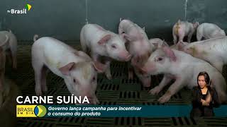 Governo incentiva o aumento do consumo de carne suína [upl. by Rafat]