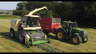 Philip Trims Krone Big X 980 Chopping Grass [upl. by Sabelle921]