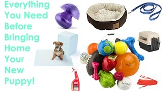 Everything You Need Before Bringing Your New Puppy Home [upl. by Marc]