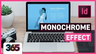 Monochrome Effect  InDesign CC Tutorial 263365 [upl. by Quick234]