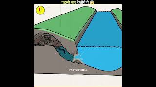 Rivers Curve rivers curve facts Viral factsmine animals shorts shortfeed [upl. by Tsuda]