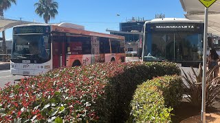 Buses At Chadstone Shopping Centre [upl. by Aysa]