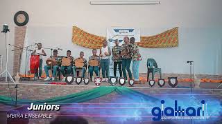 Chemutengure  Shining Smiles Primary School Mbira ensemble [upl. by Adnotal708]