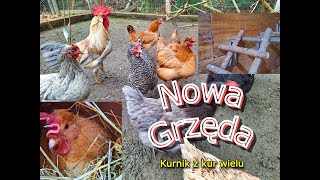 Kurnik z kur wielu 🐔 Nowa Grzęda kogut kury jaja [upl. by Symer]