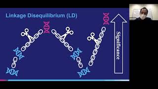 Polygenic risk scores PRSice amp lassosum with Shing Wan Choi [upl. by Olocin593]