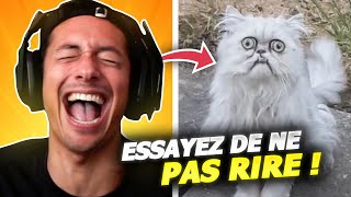 ESSAYEZ DE NE PAS RIRE SI JE NE RIGOLE PAS JE BAN  😂🤣 vous allez rire 1 [upl. by Helas]