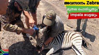 അവസാനം Zebra വീണു🇿🇦മുതല പൊരിച്ചതും Impala വേട്ടയുംBEST HUNTINGAFRICAN HUNTINGCROCODILE COOKING [upl. by Naugan267]