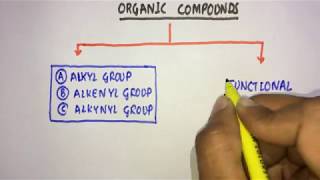 01Organic ChemistryIntroduction 03Alkyl Alkenyl Alkynyl Free Radical Carbocation amp Carbanion [upl. by Hamehseer]