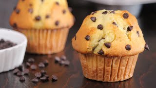 Chocolate Chip Muffins  Bakery Style Muffins  How Tasty Channel [upl. by Zerelda969]