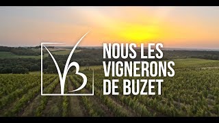 Nous Les Vignerons de Buzet [upl. by Danyette]