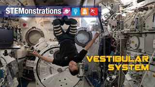 STEMonstrations Vestibular System [upl. by Erdei]