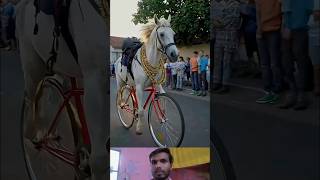 Ghoada Animal in Circles punjabisong dance punjabi newsong trending [upl. by Garate]