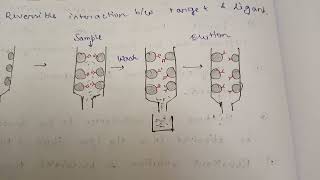 Affinity Chromatography with IMAC [upl. by Matheson960]