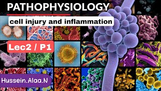 pathophysiology  L2P1 [upl. by Adnahs62]