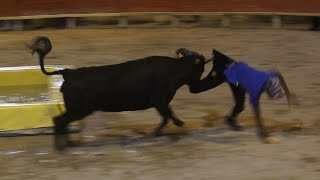 MANDUELCharlotadeToros piscine26082022La Vistrenque [upl. by Kier]