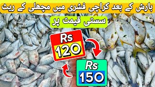 Biggest Fish Market in Karachi Pakistan 2023  Fish Market Karachi  Karachi Fishery Rates 2023 [upl. by Neenahs]