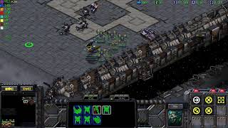 Starcraft 6인입구뚫기 impo cyrus final 피닉스 즐겜영상 [upl. by Birgitta882]