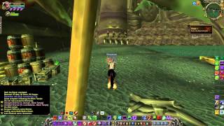 Infiltrate the Black Temple  Warlock Green Fire Questline part 1 [upl. by Aitnis121]