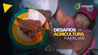 Caminhos da Reportagem  Desafios da Agricultura Familiar [upl. by Yenalem]