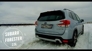 Интеллектуальный и просторный Subaru Forester 25 Premium [upl. by Colston895]