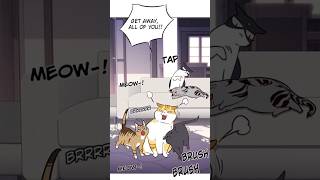 FUNNY MANHUA manhwa manhua manga shorts like viral trending funny cat webtoon fyp anime [upl. by Aubrey]