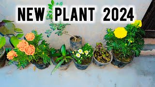 New Plant 2024  Meet With New Family Members  MunazahVlogs [upl. by Lerak379]