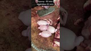 Goat Balls 600  మేక వట్టకాయలు KG 600  goatlife meat malegoat andulgoats tv9telugu viral [upl. by Naneek]