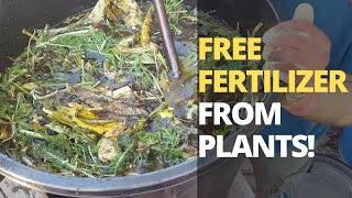 How to Make POWERFUL Fertilizer from ANY Plant [upl. by Htebesile548]