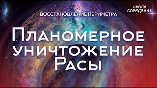 Планомерное уничтожение расы периметр семинарвосстановлениепериметра Гарат школасорадение [upl. by Critchfield98]