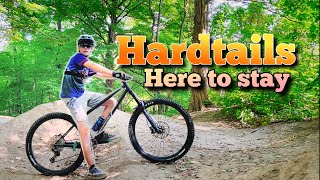 The TRUTH About Hardtail Mountain Bikes [upl. by Gemoets]