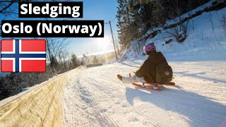 Oslo Travel Guide Downhill sledding Winter Sport at Korketrekkeren Frognerseteren [upl. by Close]