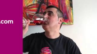 Temperatura ideal para disfrutar y beber los vinos rosados [upl. by Puto]