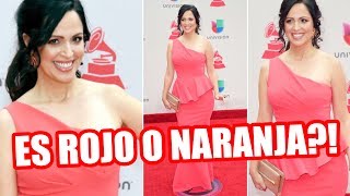 EL VESTIDO MÁS BELLO QUE HAYA USADO Alfombra Roja Latin Grammy 2017  SandraCiresArt [upl. by Hgielhsa185]