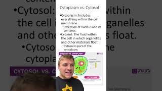 Cytoplasm Vs Cytosol [upl. by Hadeis356]