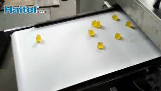 Small output semiautomatic gummy depositing machine [upl. by Adnolor889]