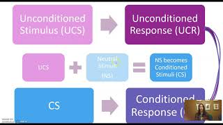 Conditioned vs Unconditioned Stimulus and Response [upl. by Enomyar]