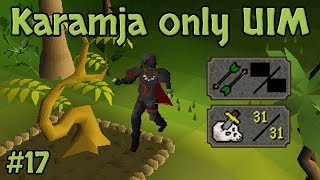 I made 118000 Teak Stocks to get this level  Karamja Only UIM 17 [upl. by Durer824]