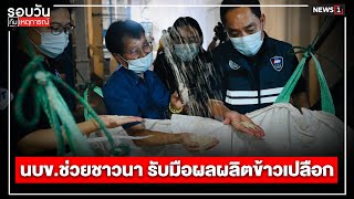 นบขช่วยชาวนา รับมือผลผลิตข้าวเปลือก  รอบวันทันเหตุการณ์ 1230 นวันที่ 08 พย67 [upl. by Opaline339]