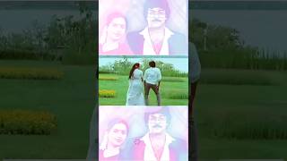 Telugu super hit melody chiranjeevi suhashini youtubeshorts telugushorts viralshorts music [upl. by Cheke436]