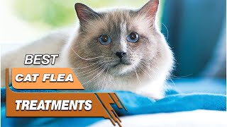 5 Best Cat Flea Treatments Review in 2023  Worth Buying Today [upl. by Atekal]