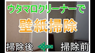 壁紙のお掃除 ウタマロクリーナーで20年の手垢汚れがスッキリ♪ [upl. by Aranaj]