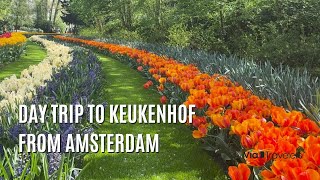 A Day Trip to Keukenhof from Amsterdam  Travel Guide 4K [upl. by Edyaw734]