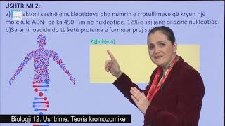 Biologji 12  Ushtrime Teoria kromozomike [upl. by Trocki]