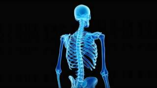 Cure Scoliosis  ReLengthen The Spine Grow Taller―∎𝘢𝘶𝘥𝘪𝘰 𝘢𝘧𝘧𝘪𝘳𝘮𝘢𝘵𝘪𝘰𝘯𝘴 [upl. by Ramas]