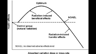 No observed Adverse effect level NOAEL in toxicology [upl. by Aniras]